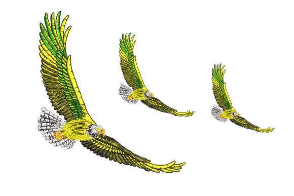 Birds Embroidery Design