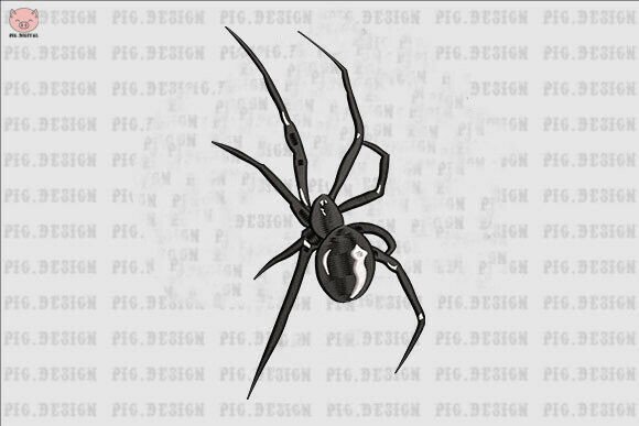 Spider Embroidery: A Seasonal Stitch Worth Spinning
